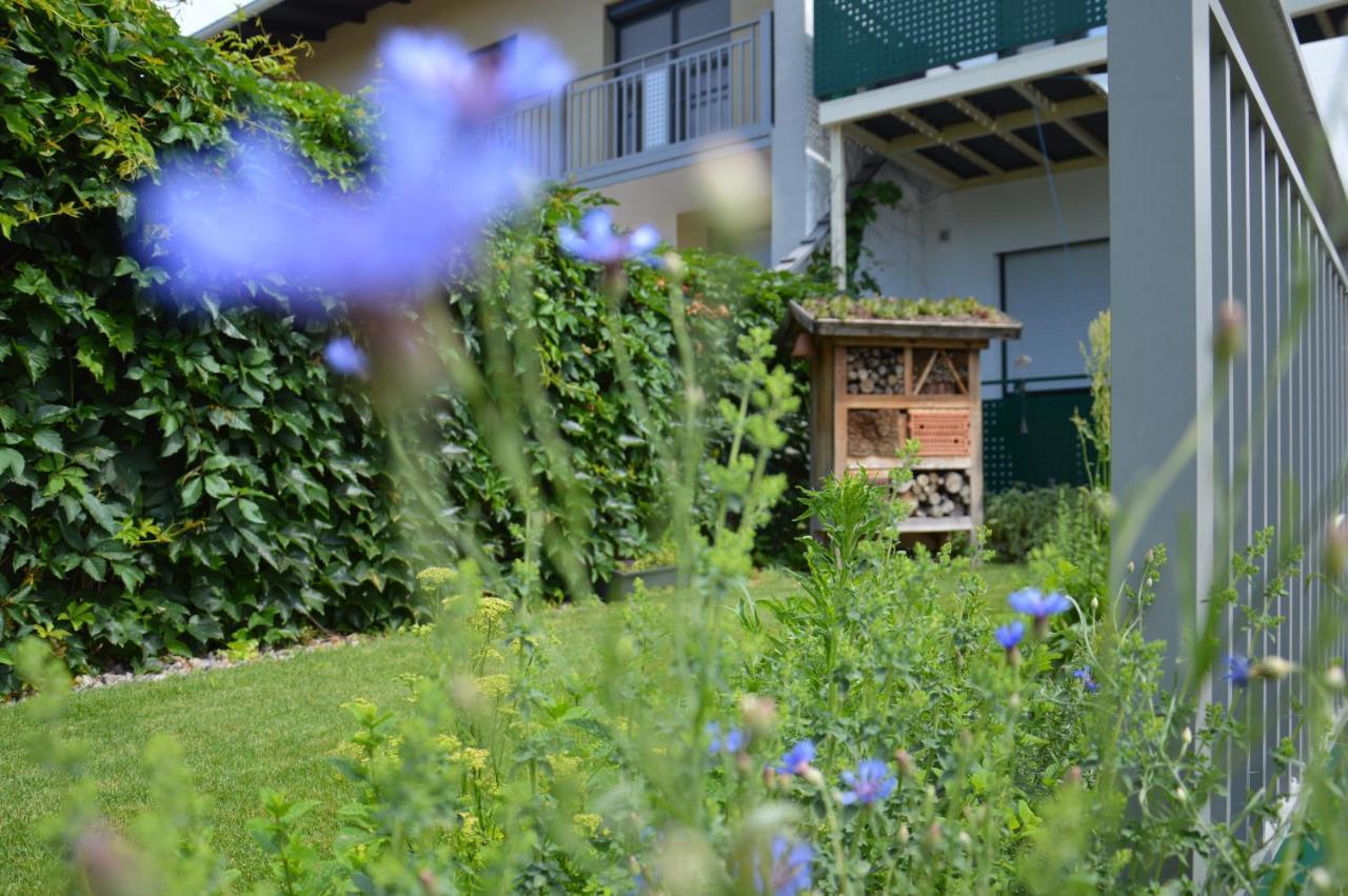 Gaestehaus Schmidt Podersdorf am See Luaran gambar
